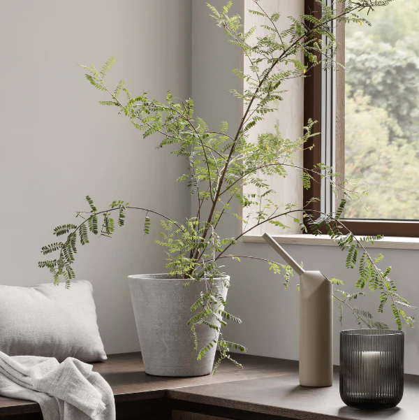 small handheld "humming bird" Blomus watering can 