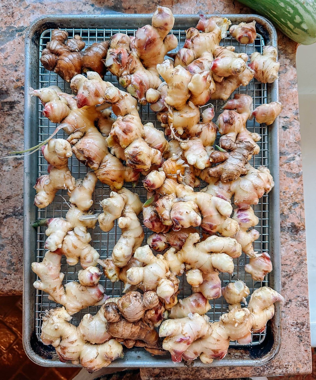 harvested ginger
