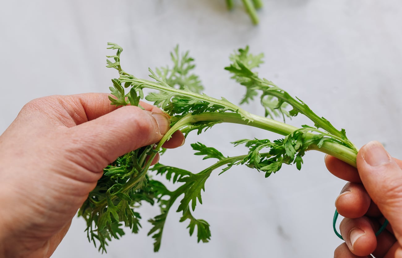 picking apart pieces of tong ho