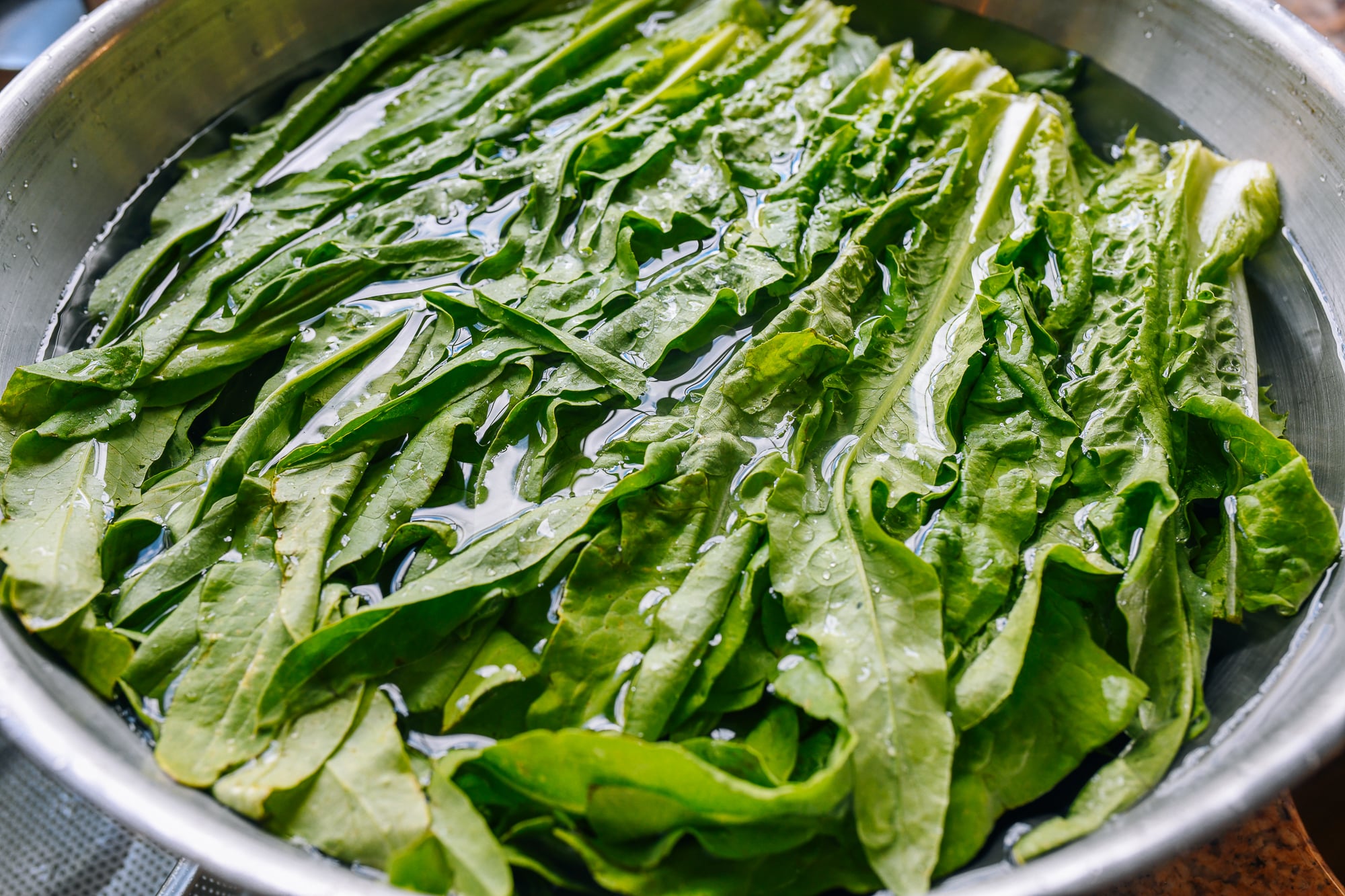 AA Choy soaking in a large metal bowl of water