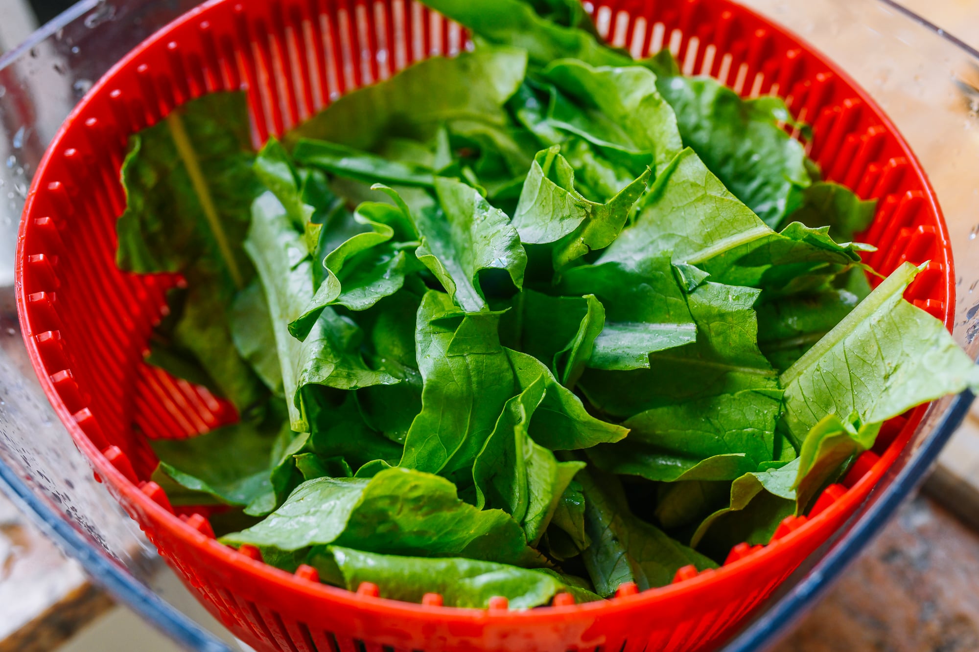 A Choy leaves in salad spinner