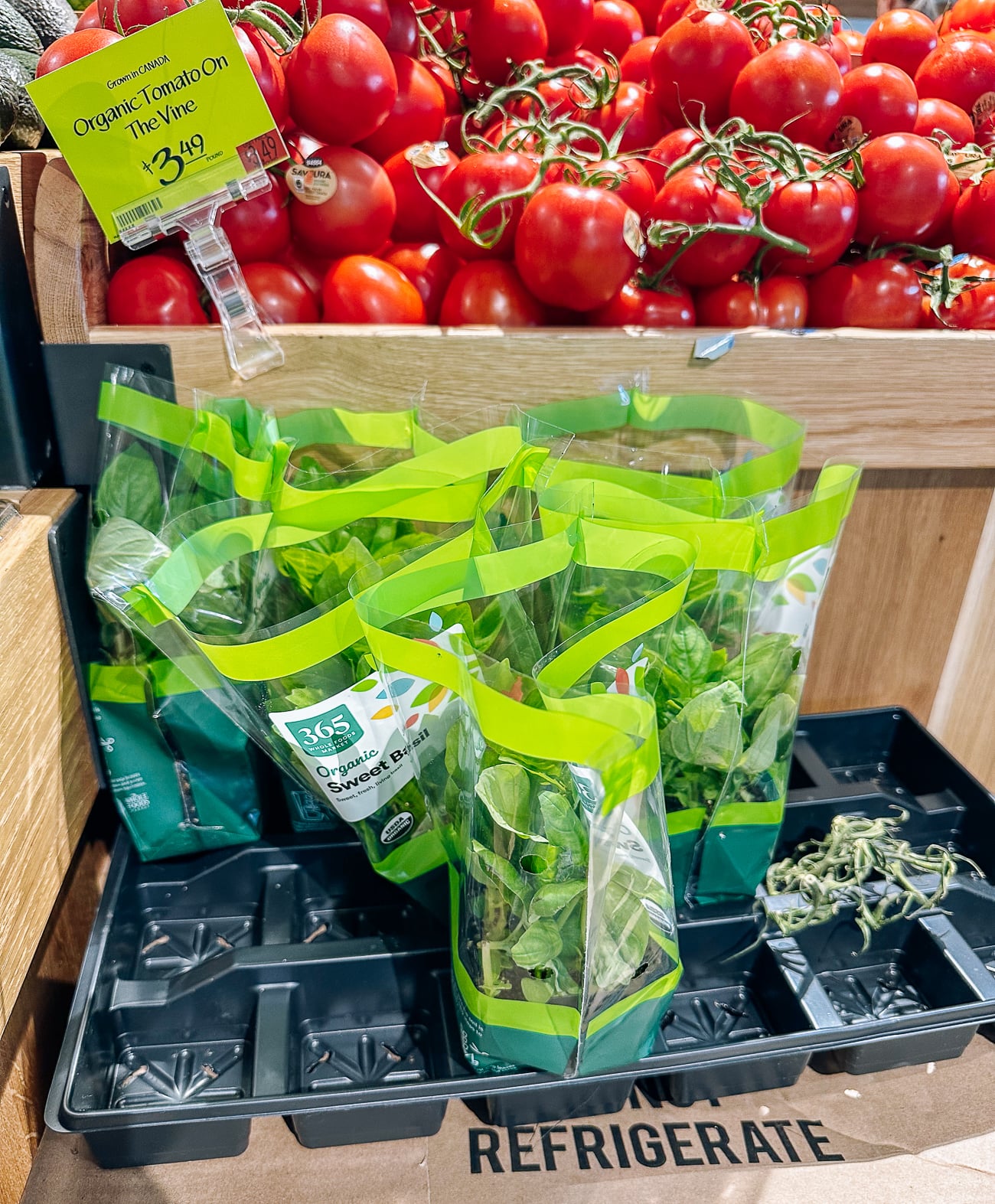 storebought hydroponic basil