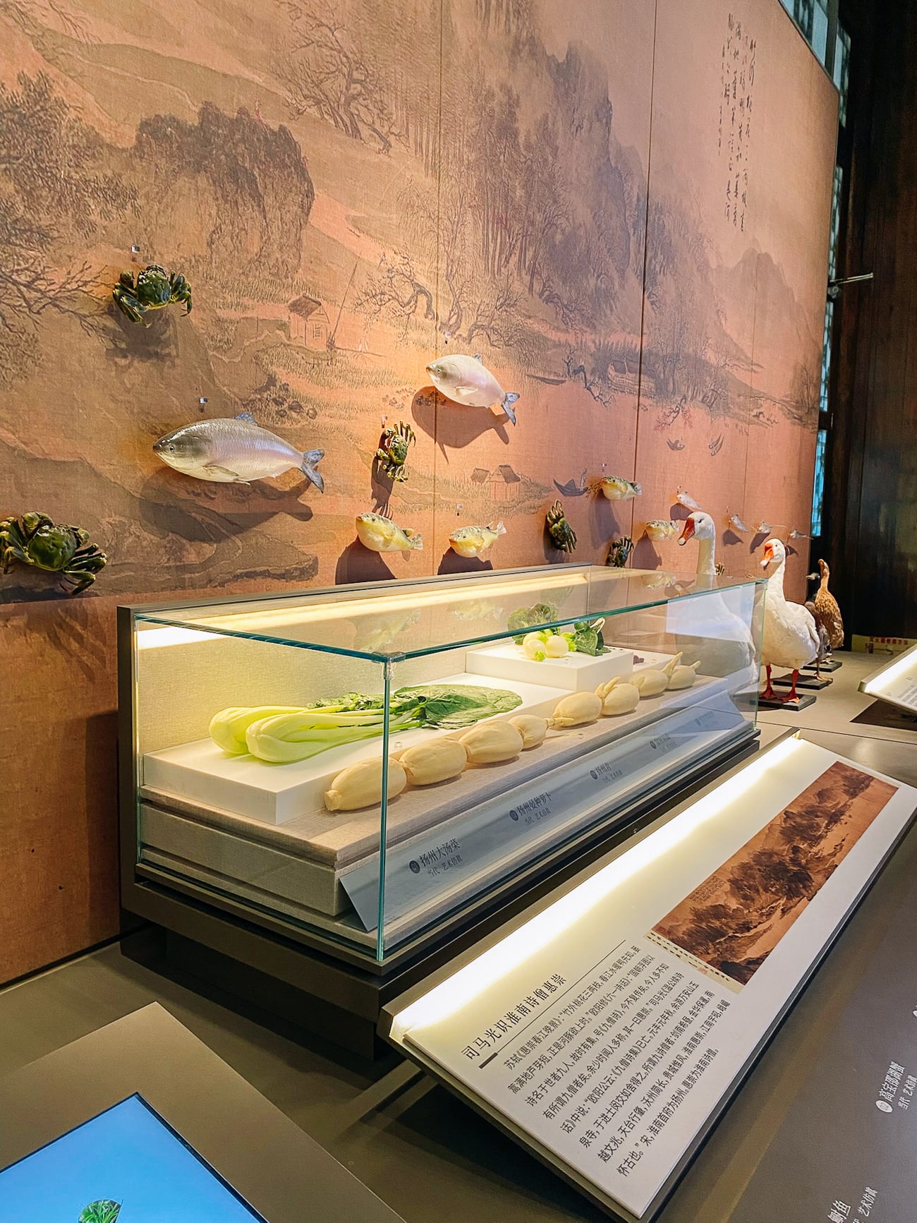 Display case in Huaiyang Cuisine museum