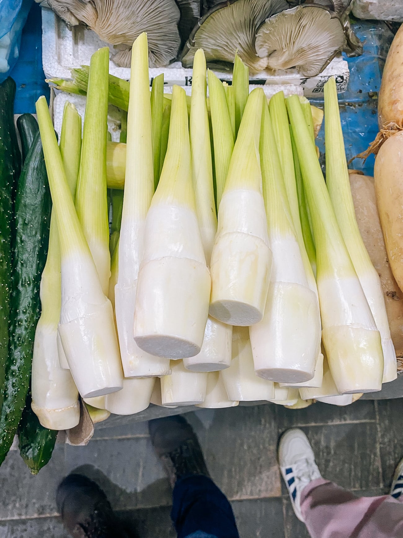 water bamboo (jiao bai)