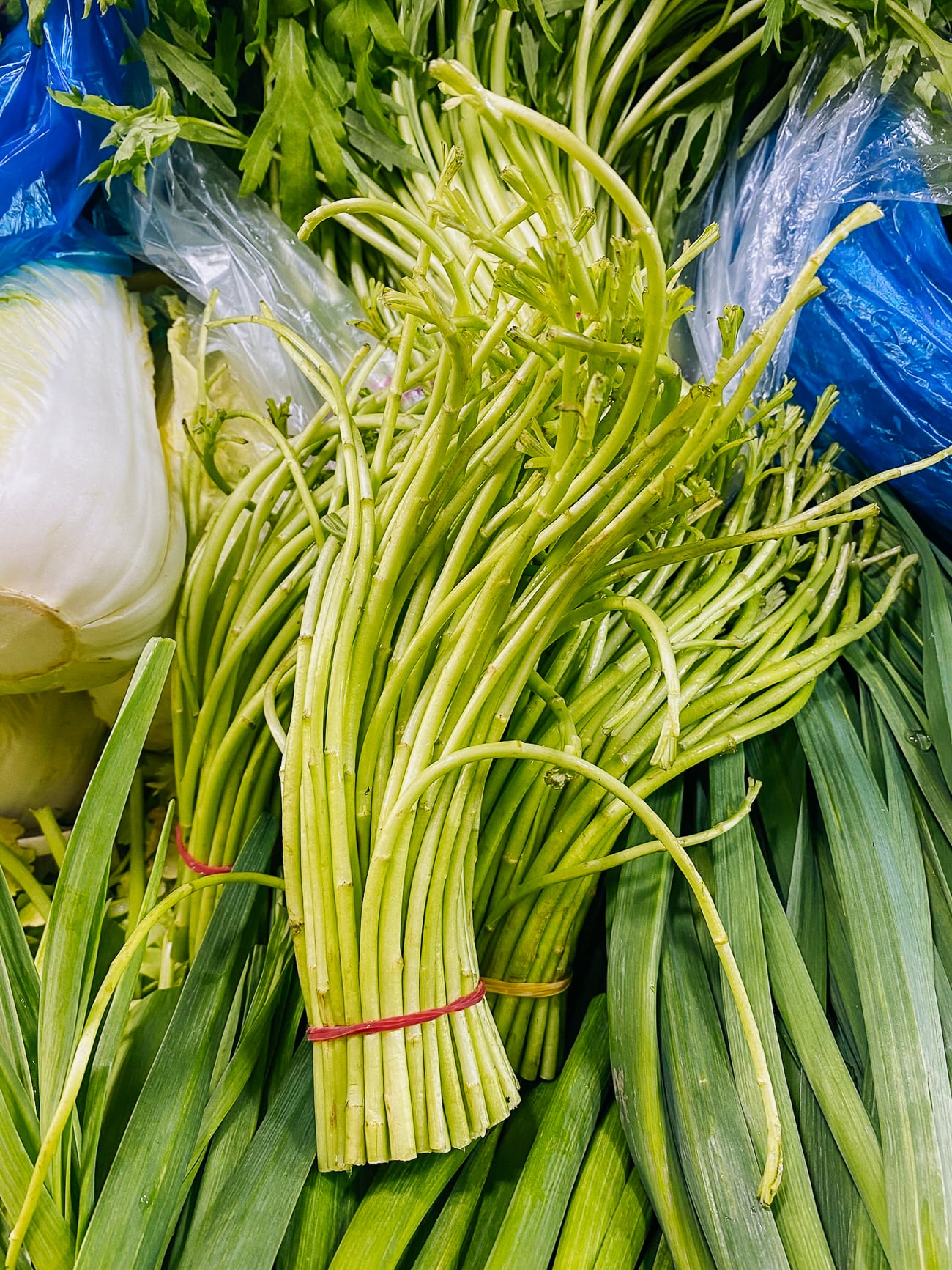 lu hao chinese wild vegetable stems