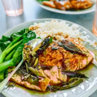 glazed salmon on plate flaked apart