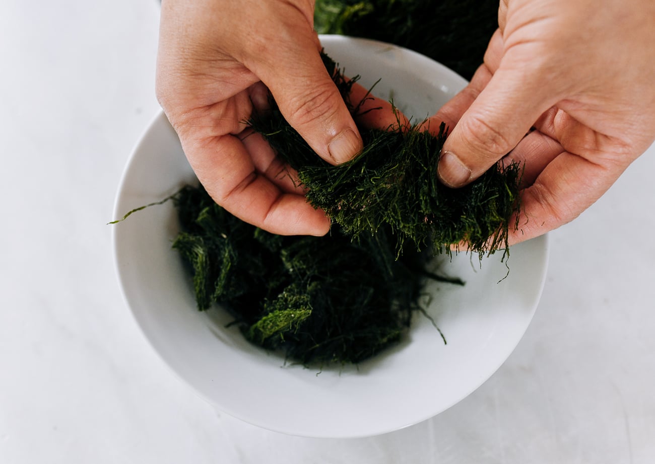 separating dried sea moss strands with hands