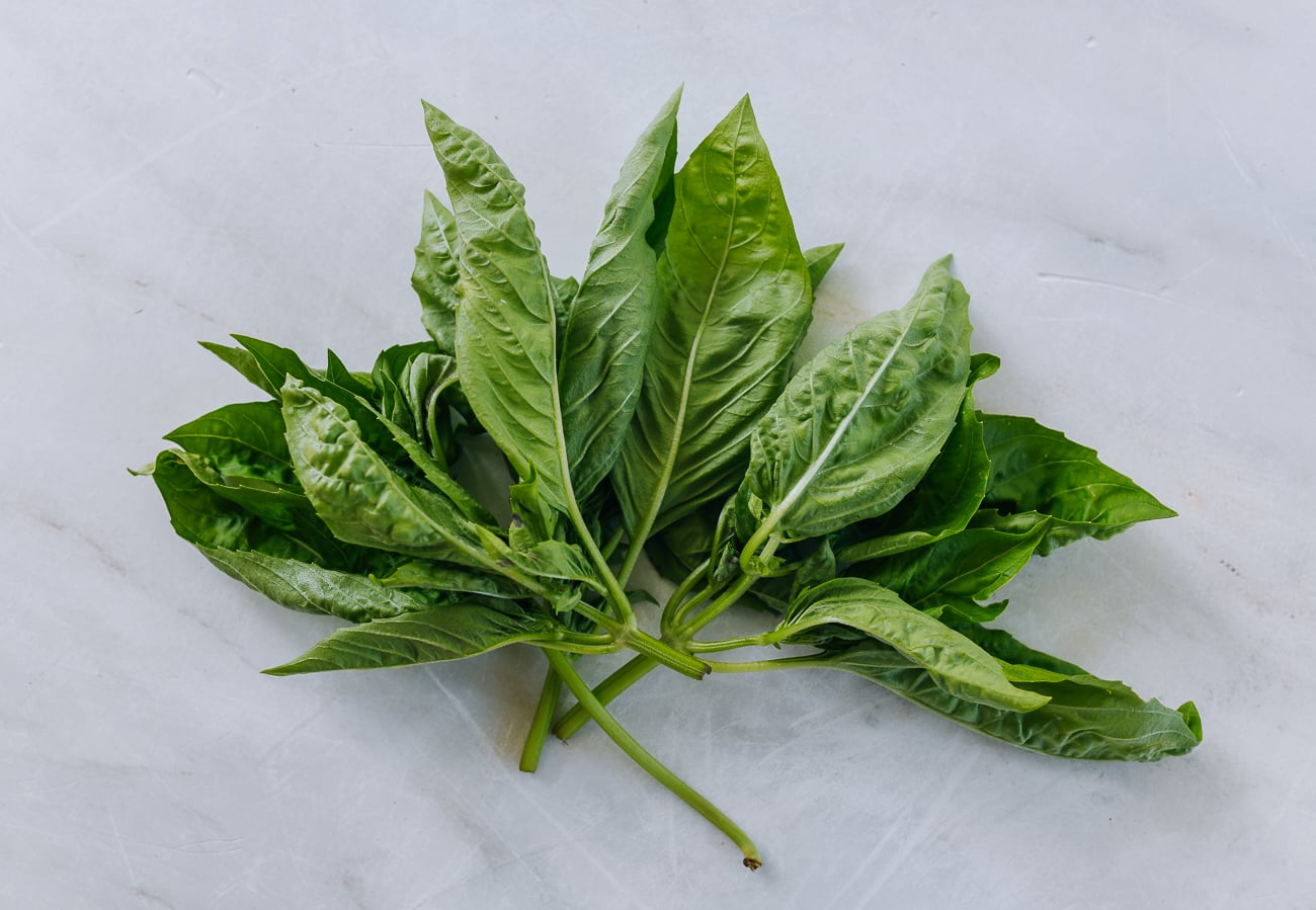 Thai basil bunch