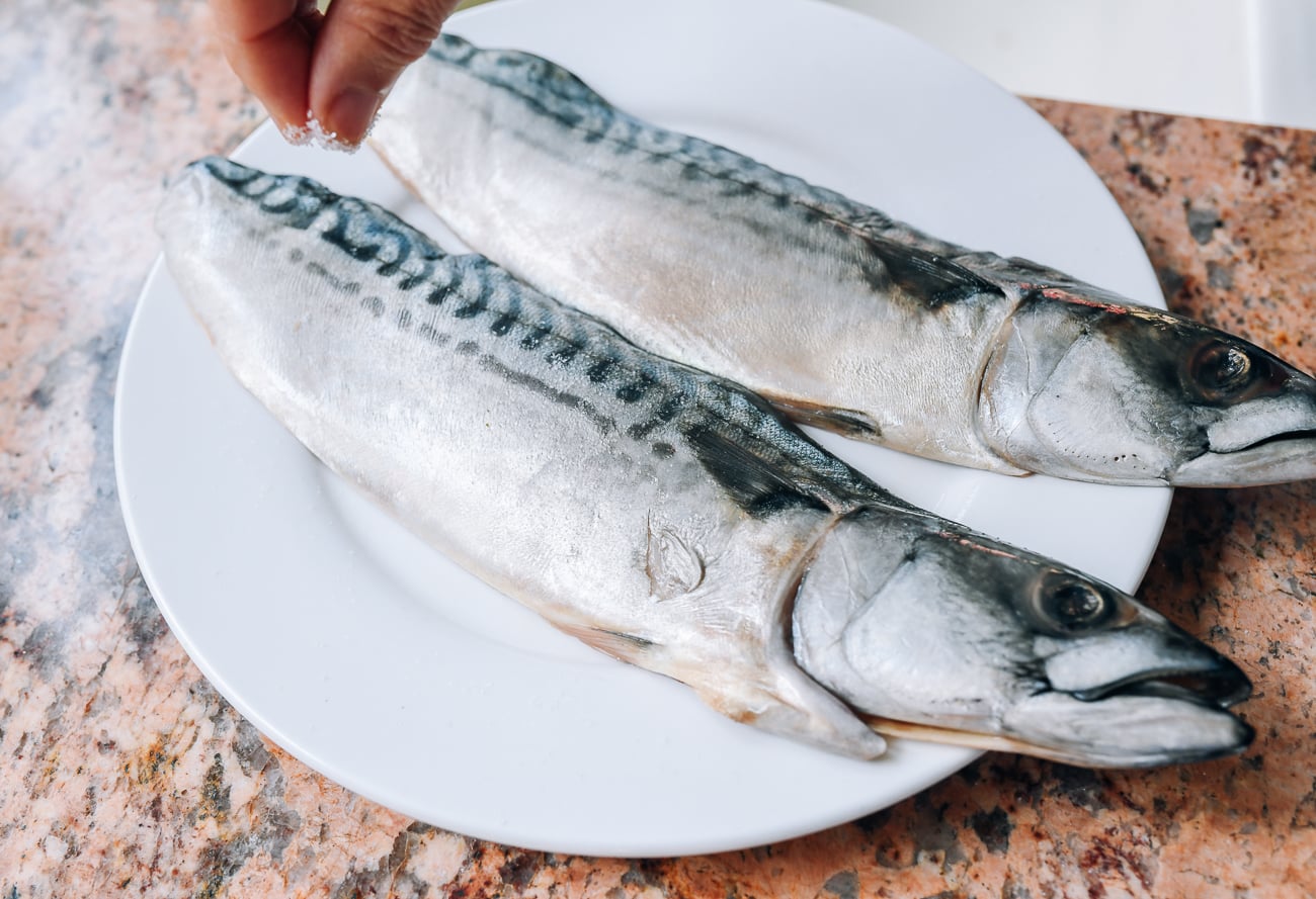 salting mackerel