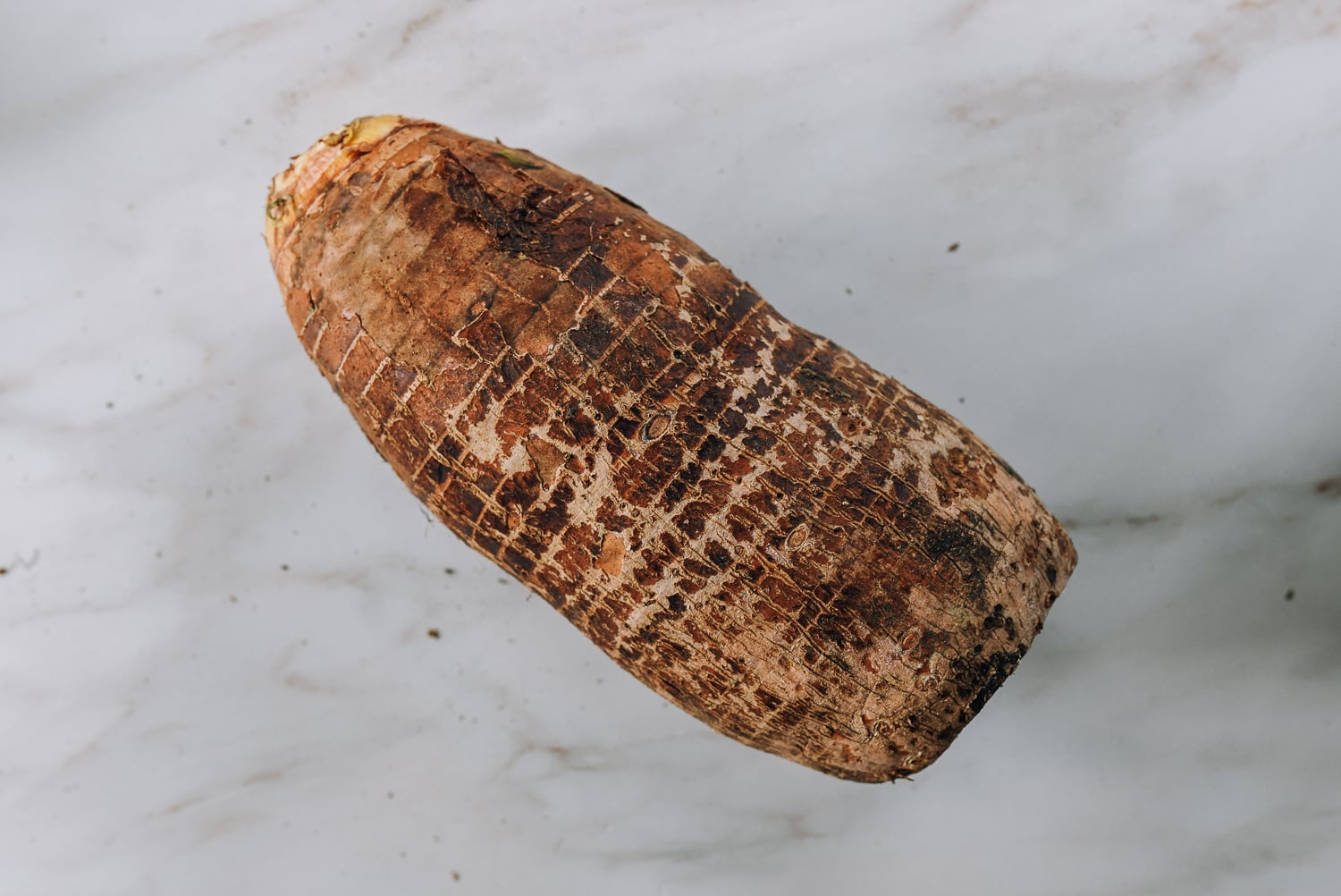 large taro