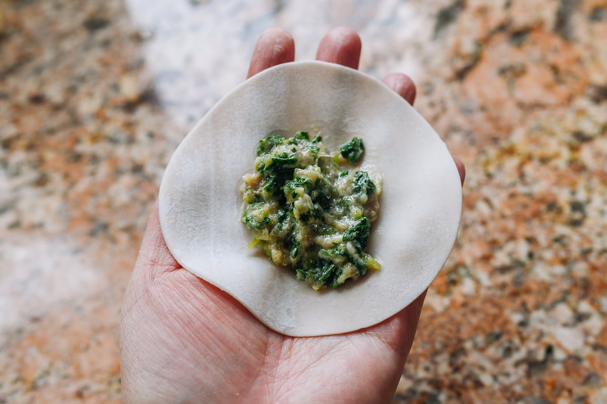 dumpling filling in wrapper