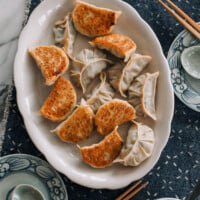only dumpling recipe you need