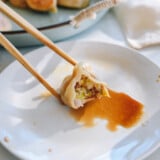 Chinese Chicken Dumpling Cross-section