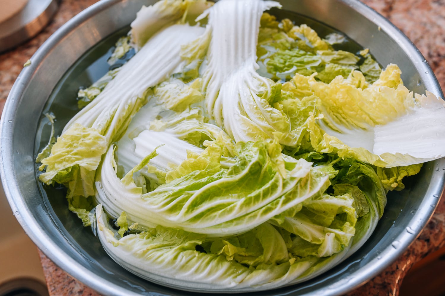washing napa cabbage leaves in large metal bowl of water
