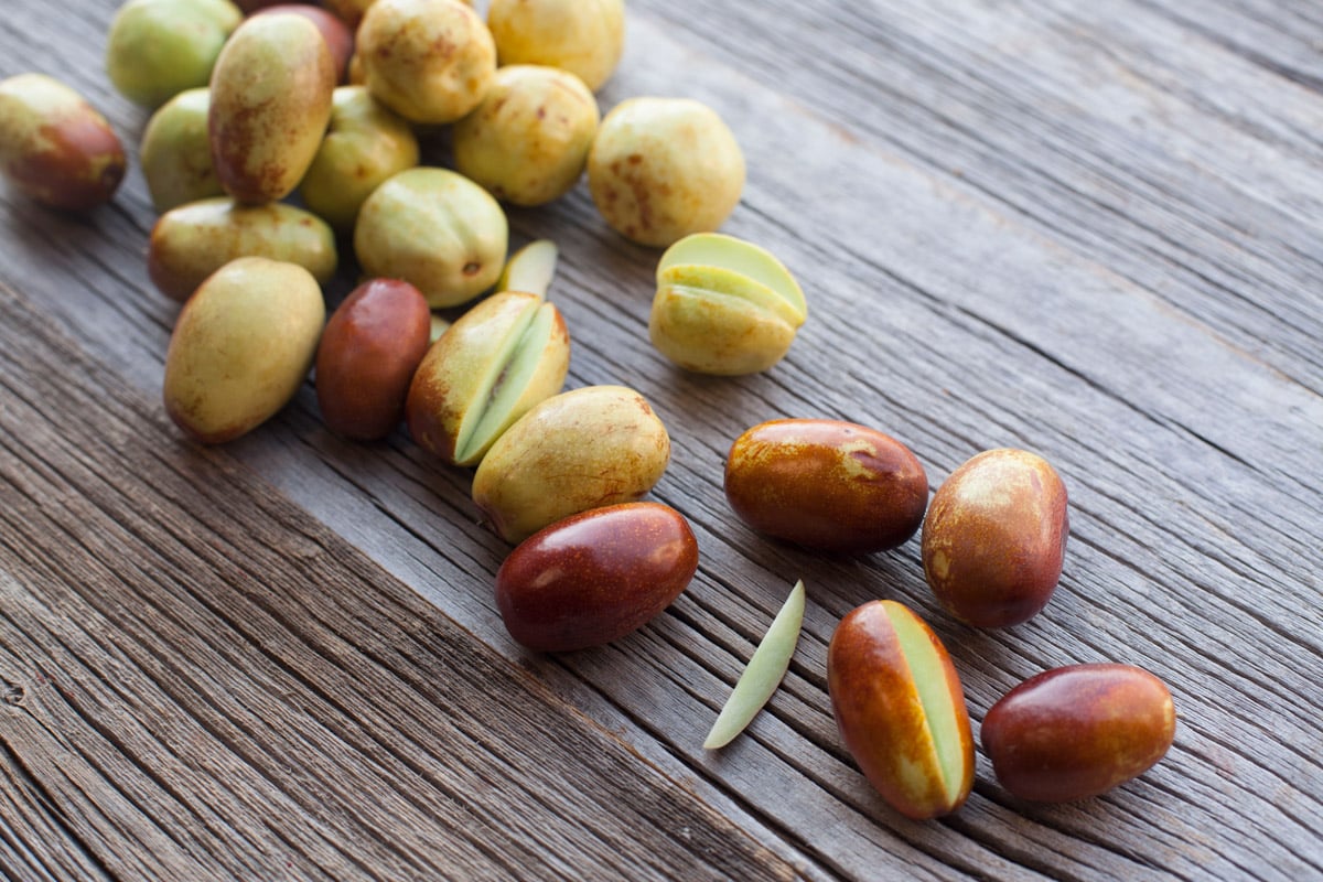 fresh jujube cross-section