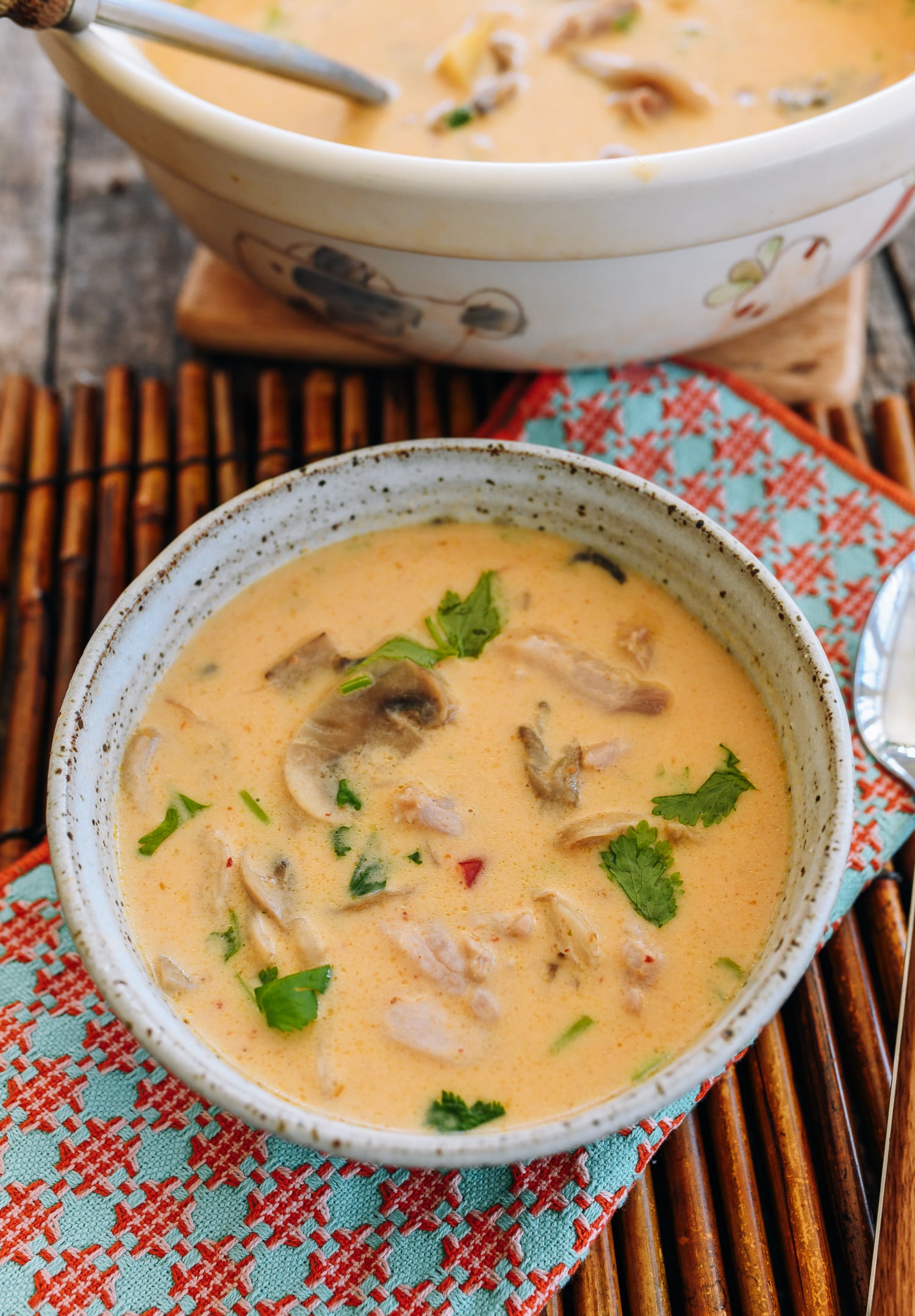 Thai Coconut Chicken Soup recipe