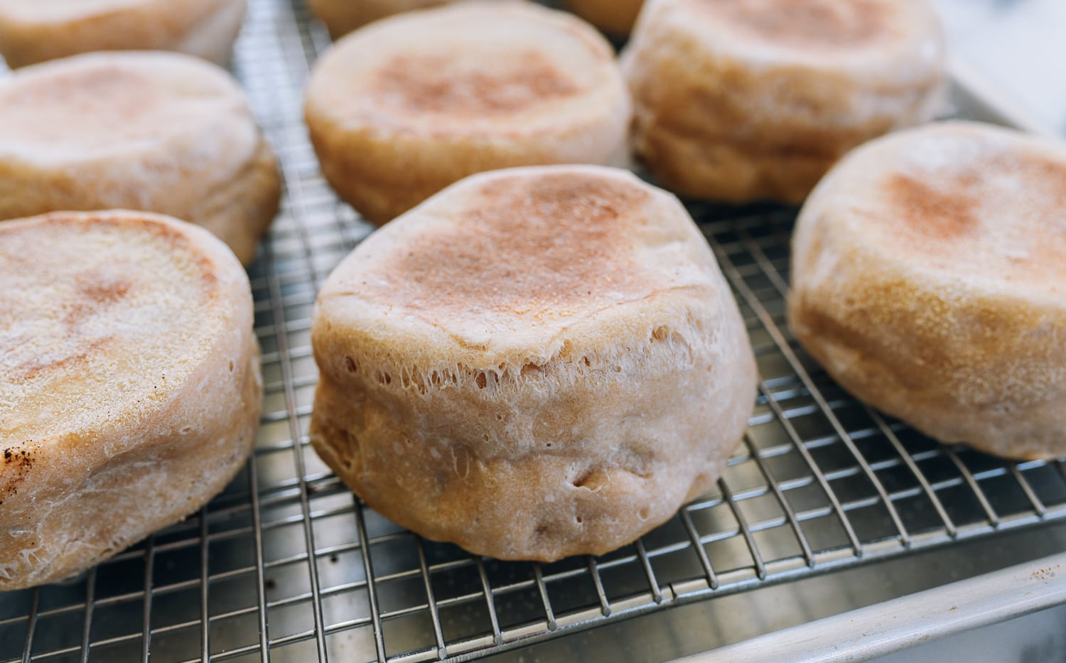 homemade sourdough english muffins