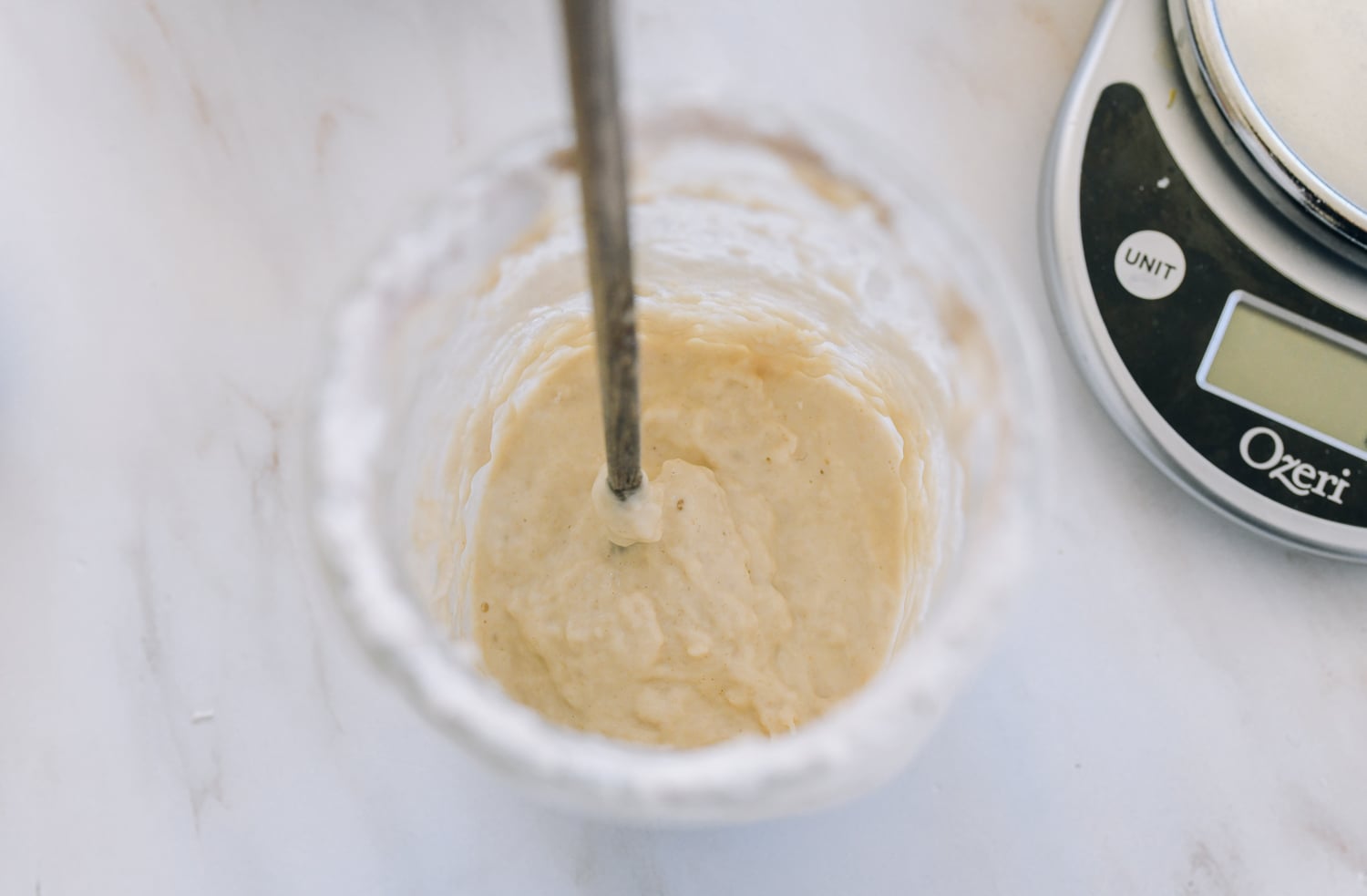 fed sourdough starter