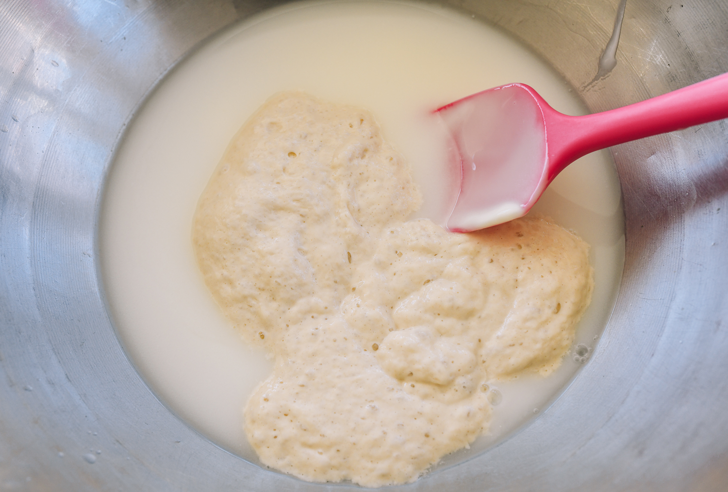 sourdough starter mixed with wet ingredients for english muffin recipe