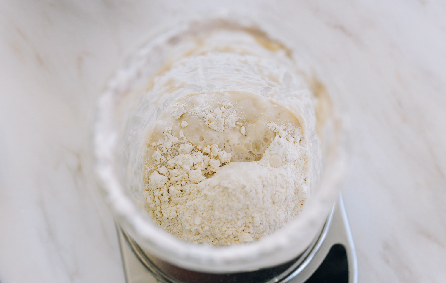 feeding sourdough starter