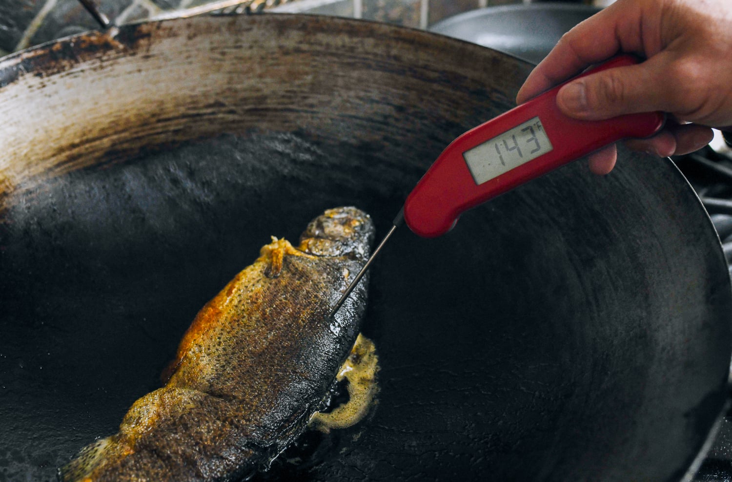 taking cooked trout internal temperature with instant read thermometer
