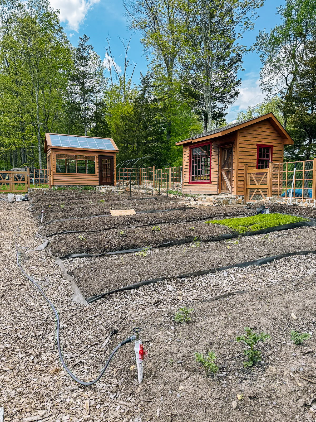 new potting shed and greenhouse