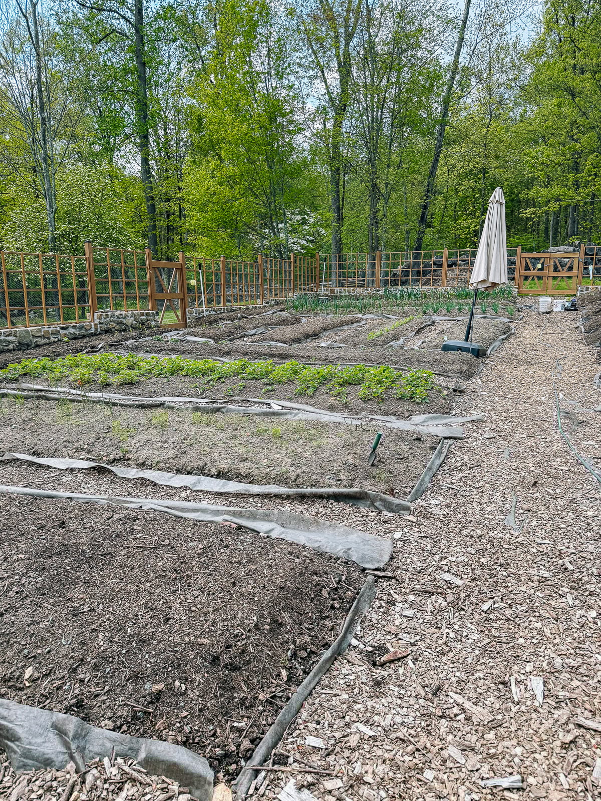 garden beds