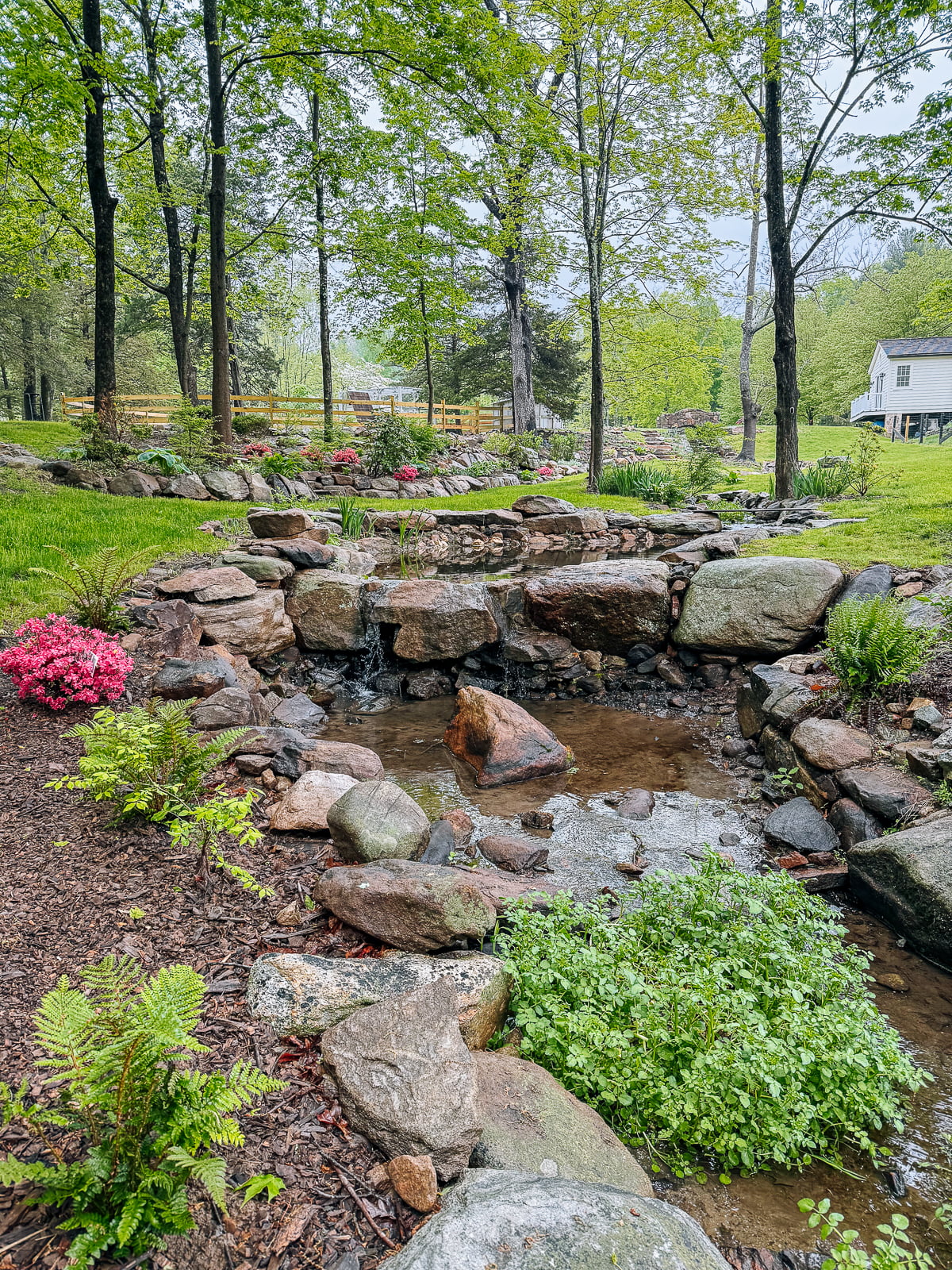 2025 Spring Farm/Garden Update!