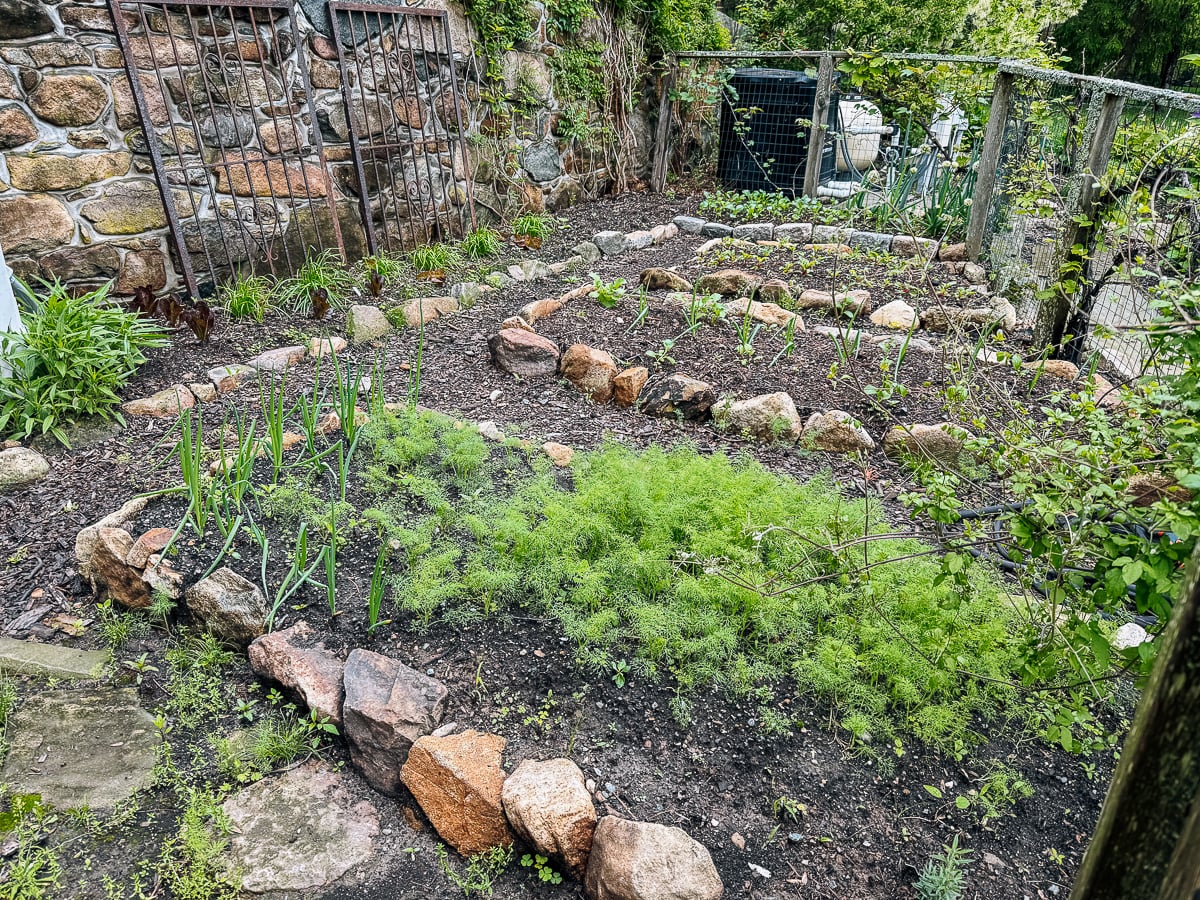 kitchen garden vegetable beds bordered with stones
