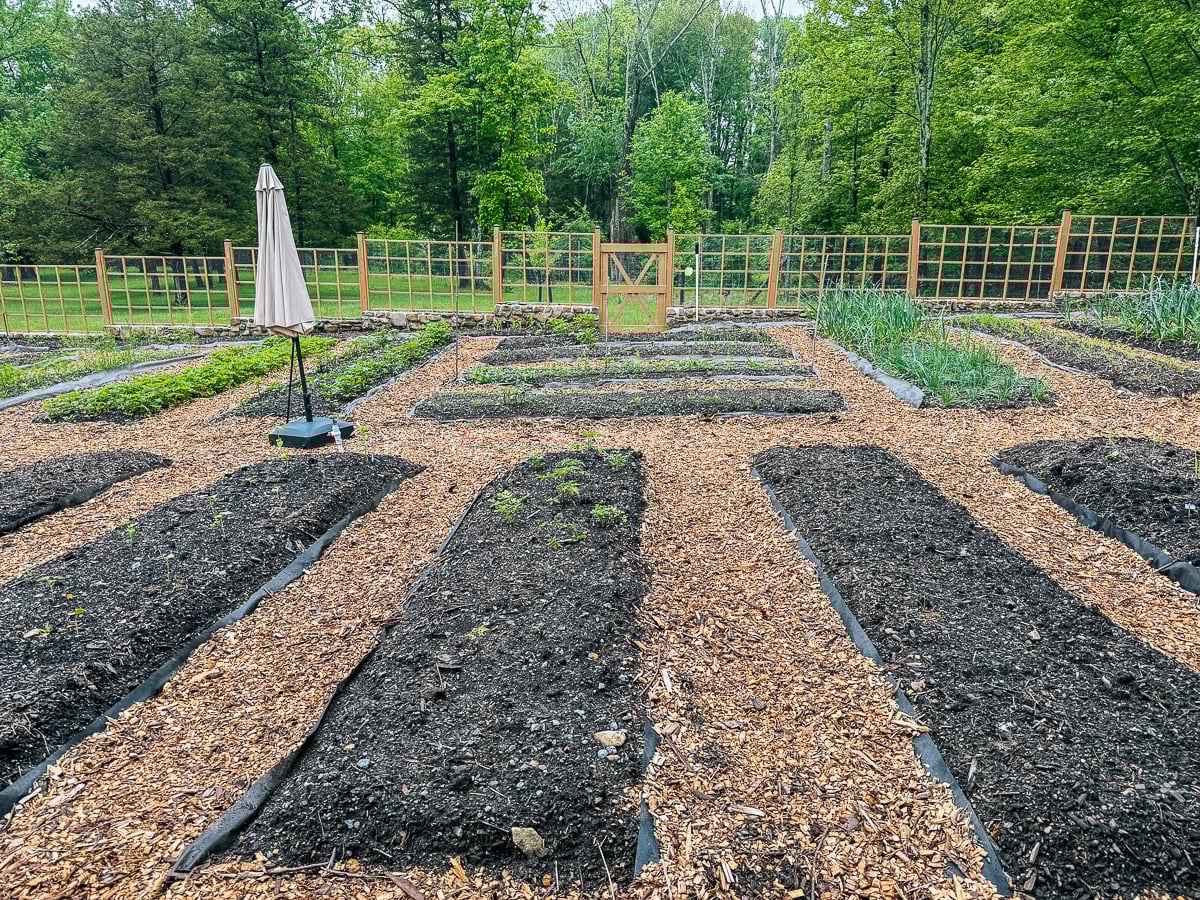 Vegetable beds