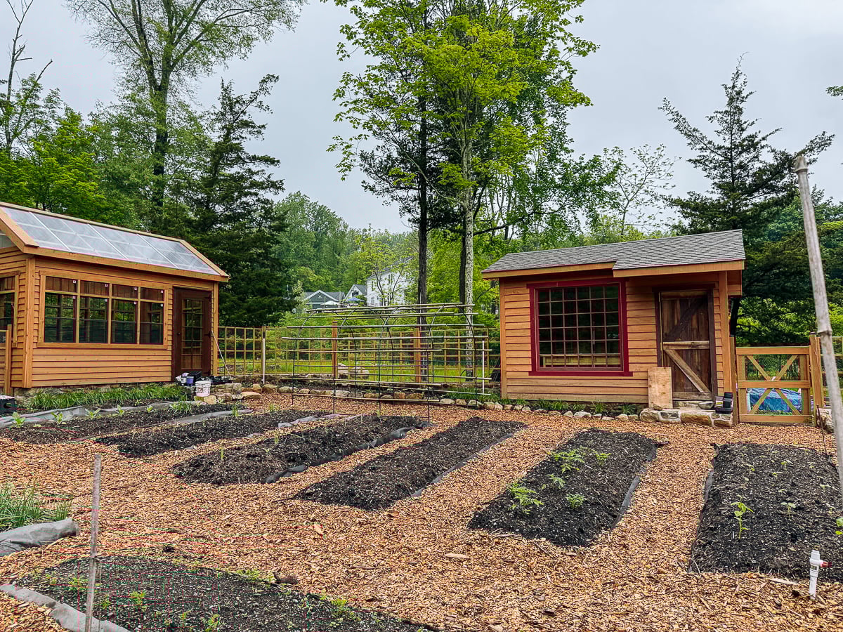 Greenhouse and potting shed