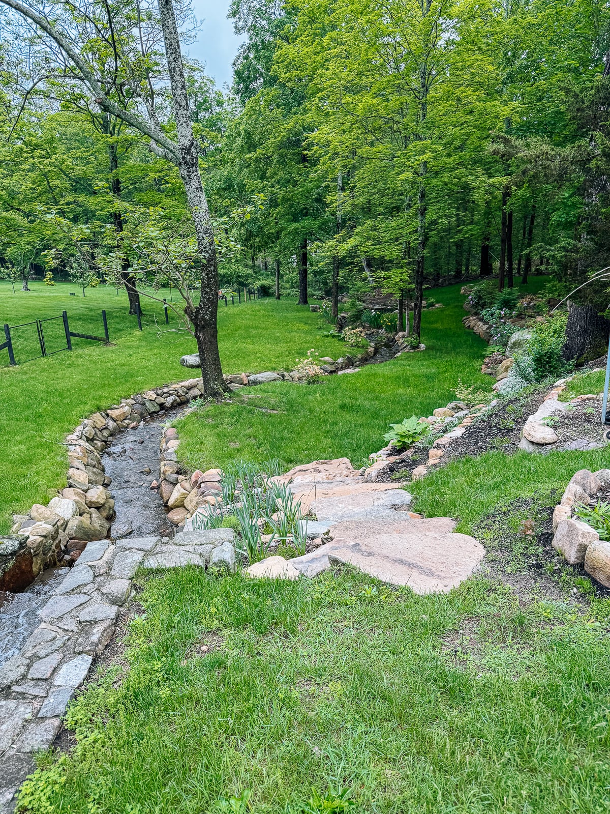 downstream area on a spring day