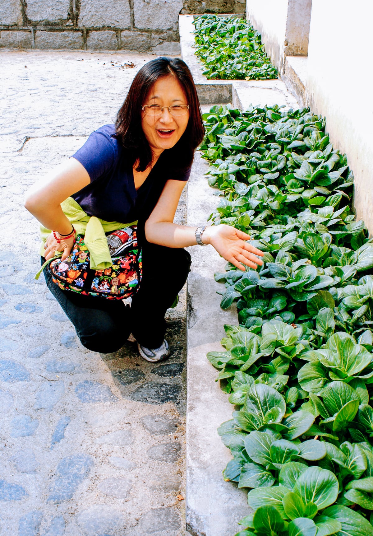 judy marveling at bok choy growing in garden patch
