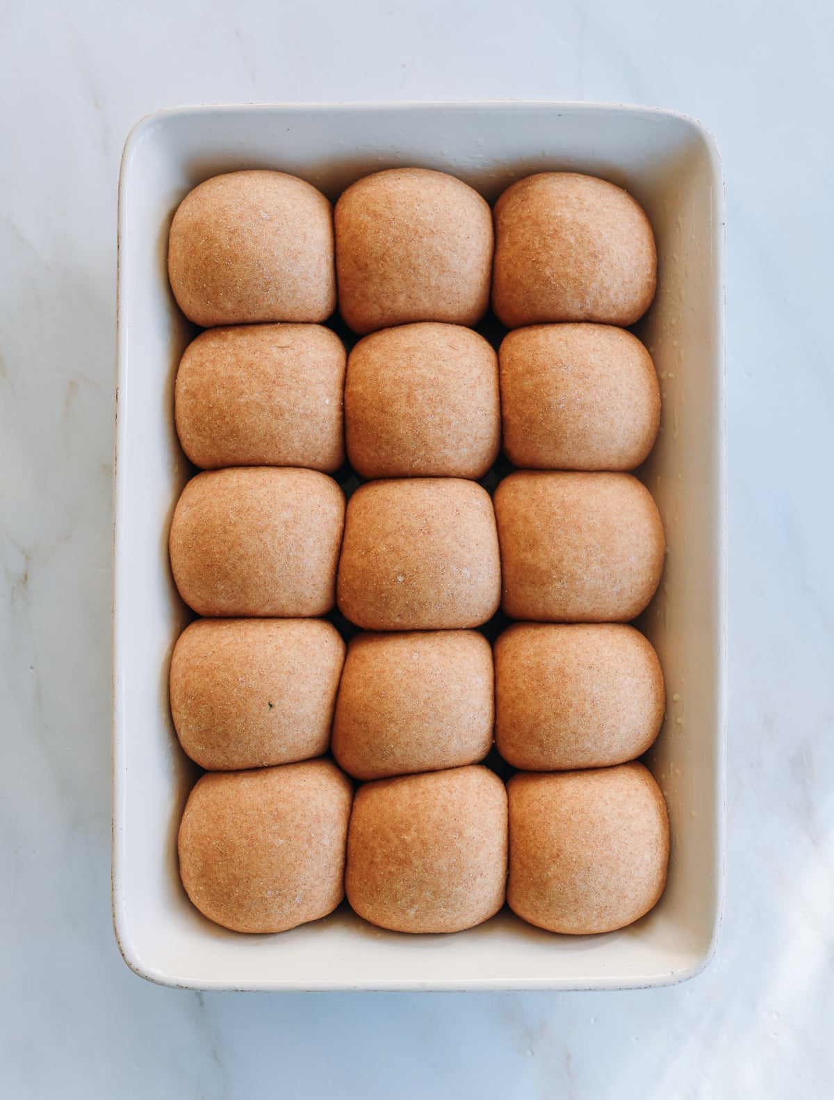 dinner rolls proofed baking dish