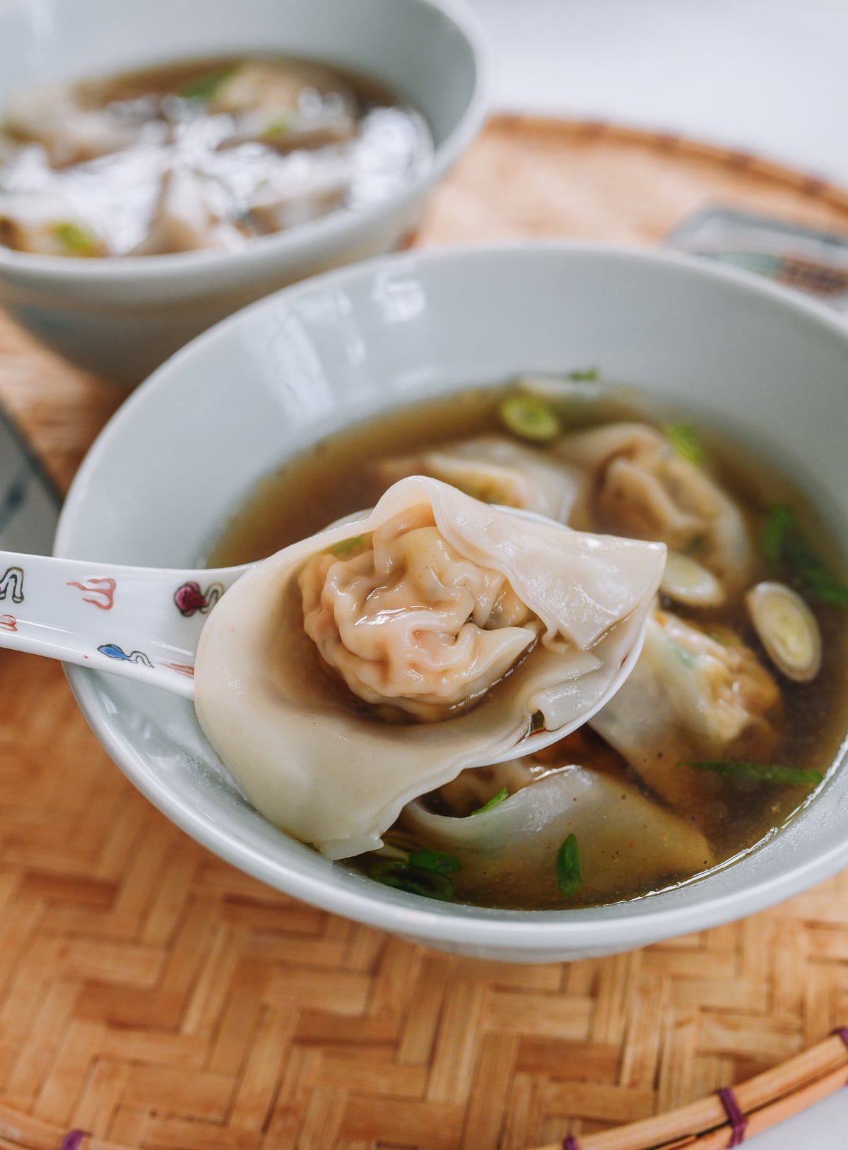 vegetarian wonton soup recipe
