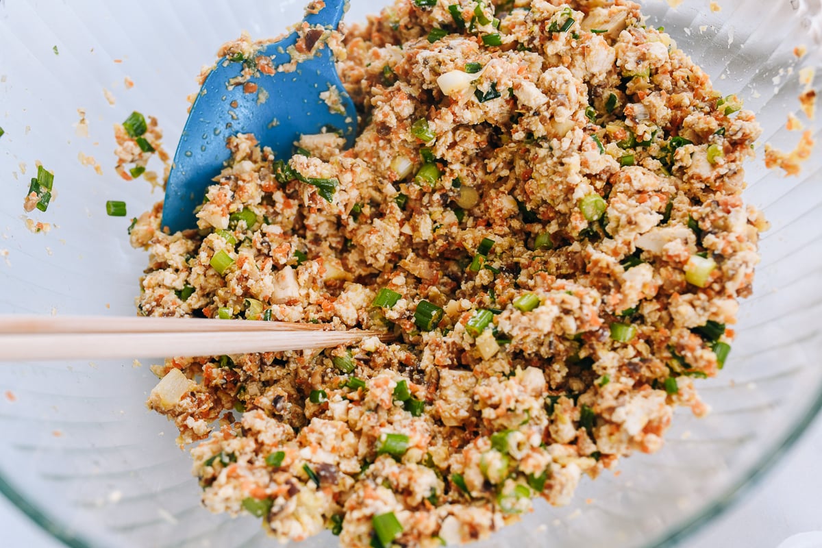 vegetarian wonton filling